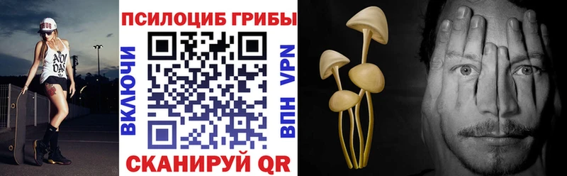 где купить наркотик  OMG вход  Галлюциногенные грибы Cubensis  Нягань 